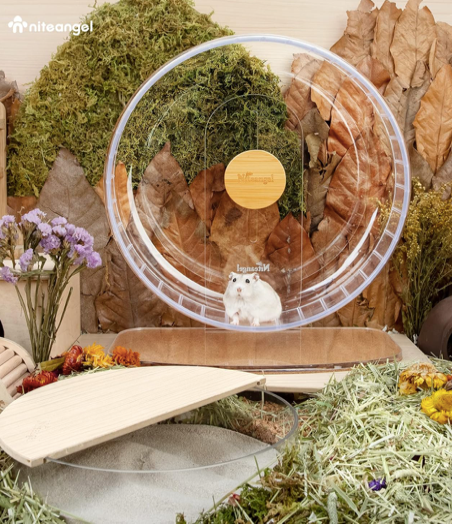 Niteangel Super-Silent Acrylic Hamster Exercise Wheel