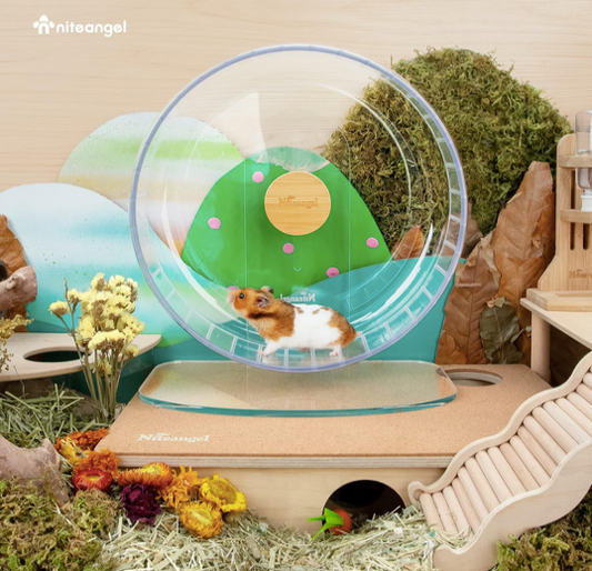 Niteangel Super-Silent Acrylic Hamster Exercise Wheel